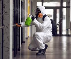 Best Emergency Mold Remediation  in Brilliant, OH